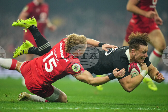 APTOPIX Wales New Zealand Rugby