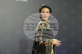 Taiwan Golden Horse Awards