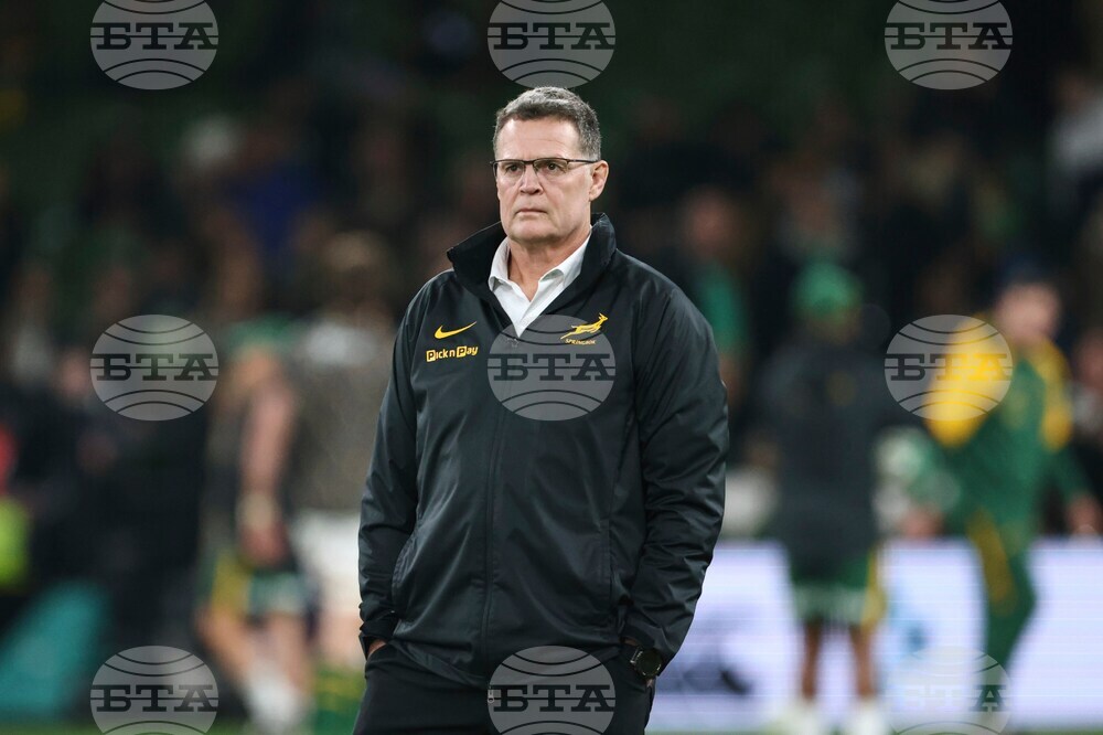 Ireland South Africa Rugby