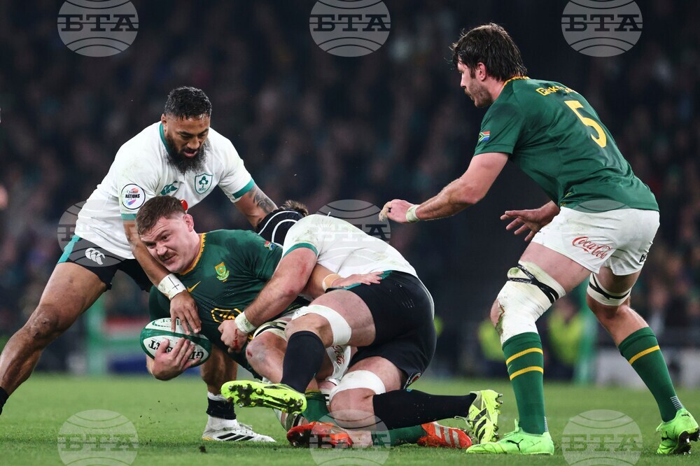 Ireland South Africa Rugby