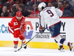 Blue Jackets Red Wings Hockey