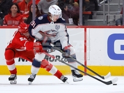 Blue Jackets Red Wings Hockey