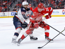 Blue Jackets Red Wings Hockey