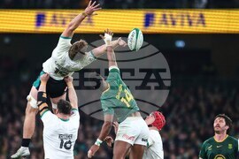 Ireland South Africa Rugby
