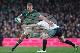 Ireland South Africa Rugby