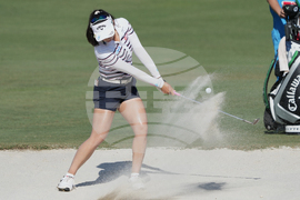 LPGA Tour Championship Golf