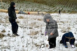 Extreme Weather Algeria