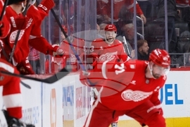 Blue Jackets Red Wings Hockey