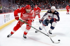 Blue Jackets Red Wings Hockey