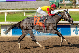 Del Mar Horse Racing