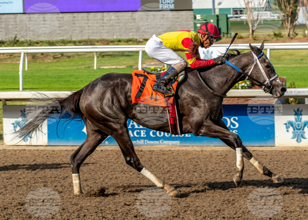 Del Mar Horse Racing