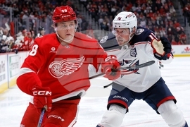 Blue Jackets Red Wings Hockey