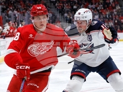 Blue Jackets Red Wings Hockey