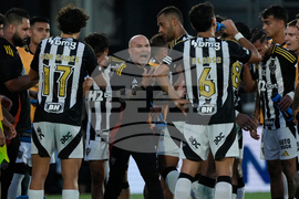 Argentina Brazil Copa Sudamericana Soccer