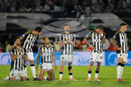 Argentina Brazil Copa Sudamericana Soccer