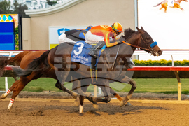 Del Mar Horse Racing