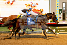 Del Mar Horse Racing