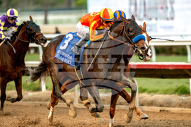 Del Mar Horse Racing