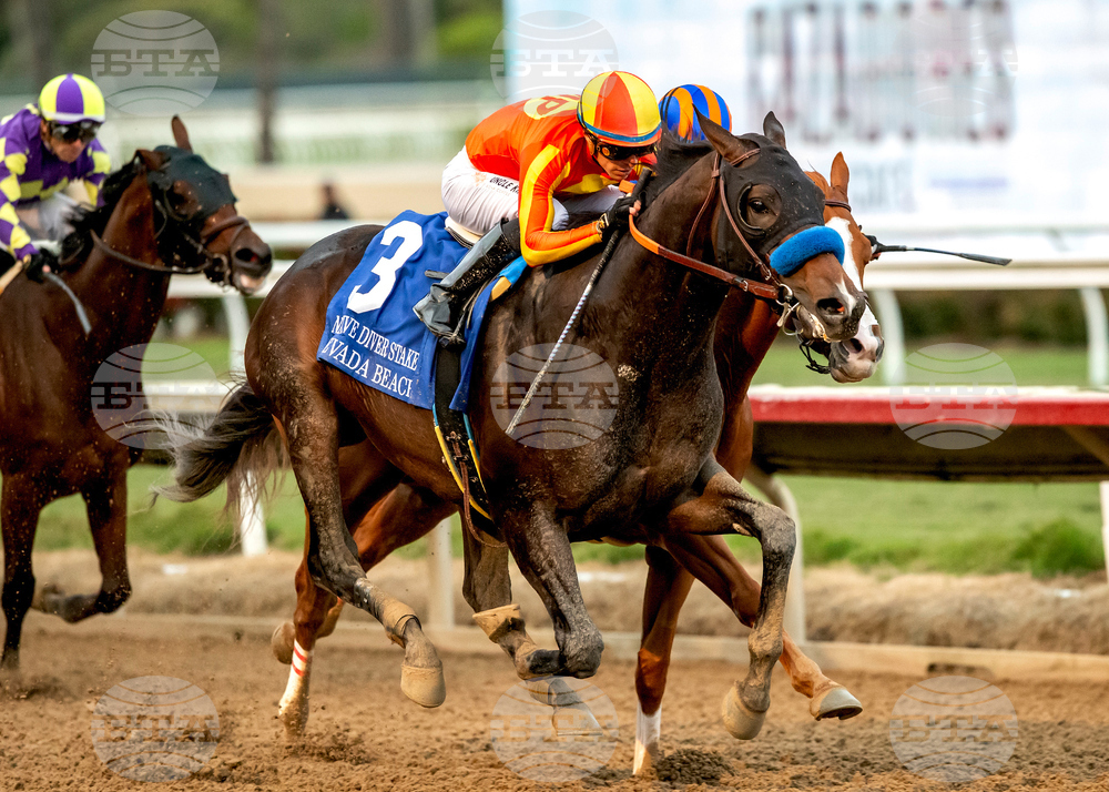 Del Mar Horse Racing