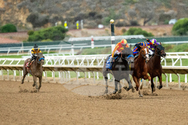 Del Mar Horse Racing