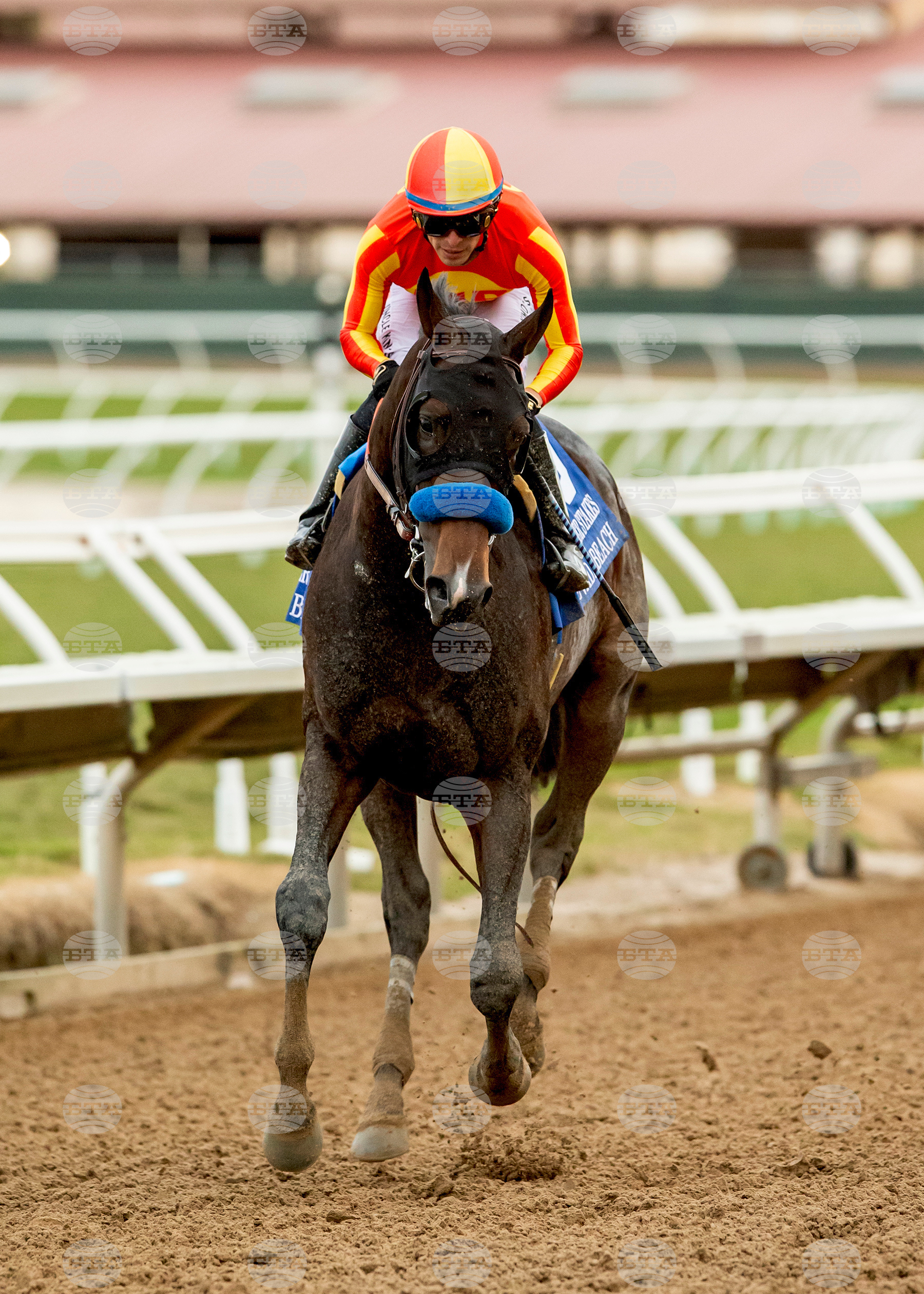 Del Mar Horse Racing