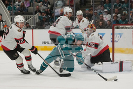 Senators Sharks Hockey