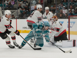 Senators Sharks Hockey