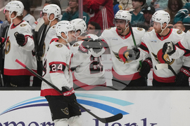 Senators Sharks Hockey