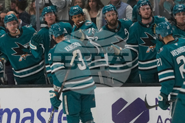 Senators Sharks Hockey