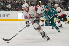 Senators Sharks Hockey