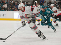 Senators Sharks Hockey