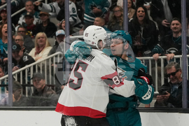 Senators Sharks Hockey