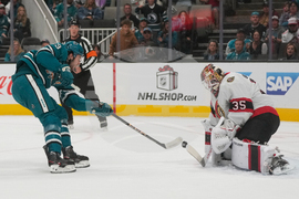 Senators Sharks Hockey