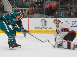 Senators Sharks Hockey