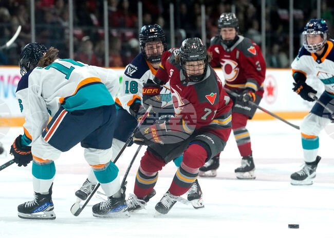 PWHL Sirens Charge Hockey