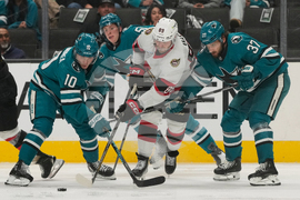 Senators Sharks Hockey