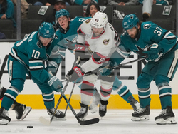 Senators Sharks Hockey