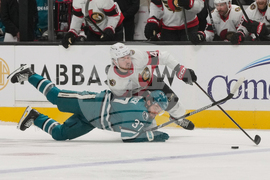 Senators Sharks Hockey