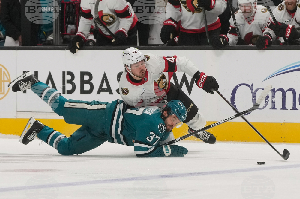 Senators Sharks Hockey