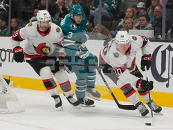 Senators Sharks Hockey