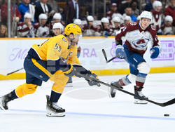 Avalanche Predators Hockey