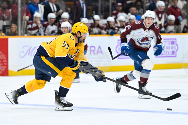Avalanche Predators Hockey