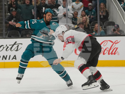 Senators Sharks Hockey