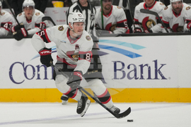 Senators Sharks Hockey