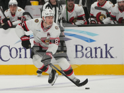 Senators Sharks Hockey