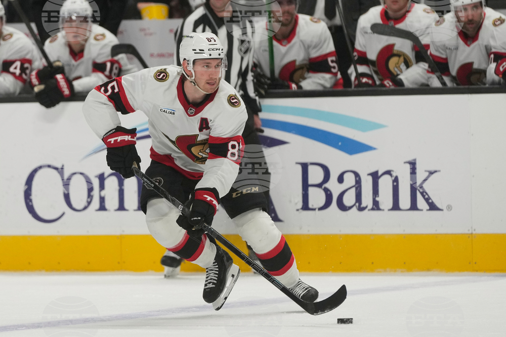 Senators Sharks Hockey