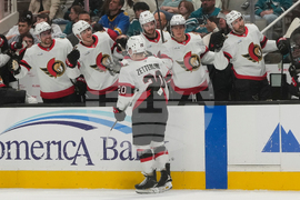 Senators Sharks Hockey