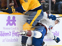 Avalanche Predators Hockey