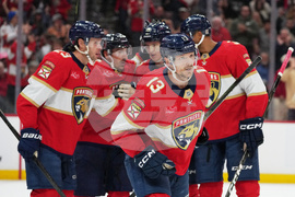 Oilers Panthers Hockey