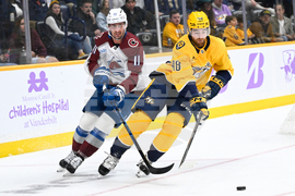Avalanche Predators Hockey
